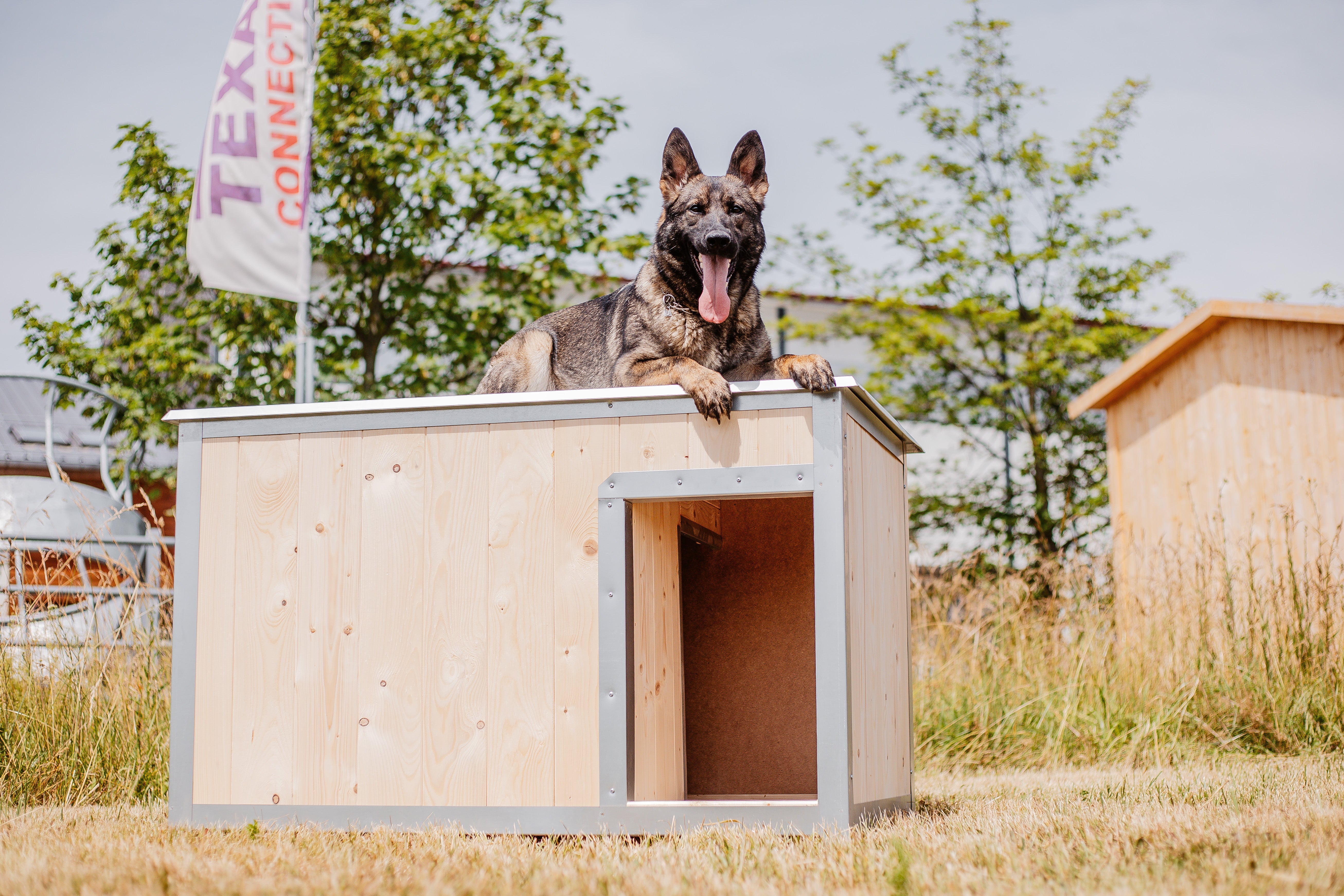 Je dřevěná bouda pro psa odolná vůči povětrnostním vlivům?