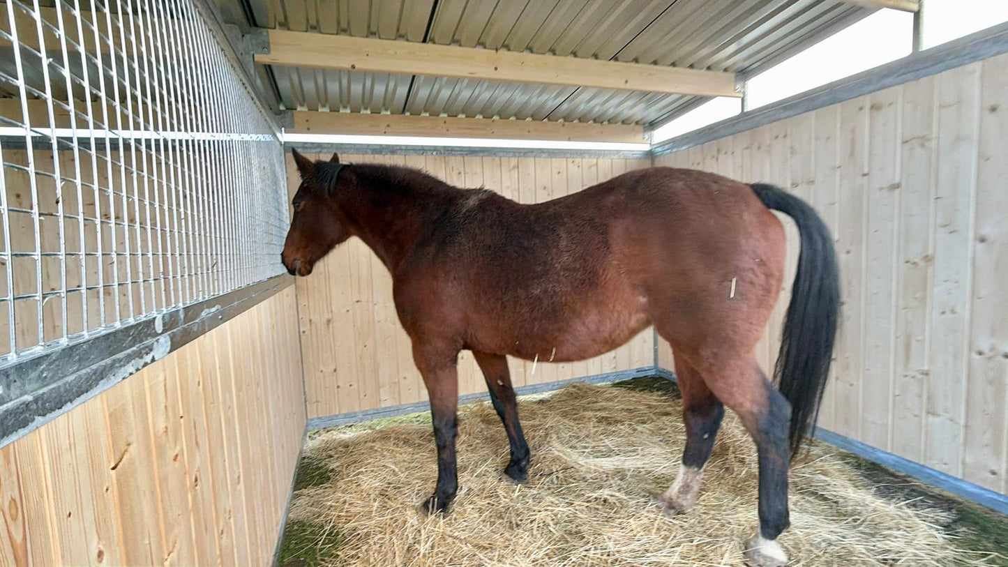 Dřevěný přístřešek pro koně 3 x 9 m se závorami a dělícími stěnami